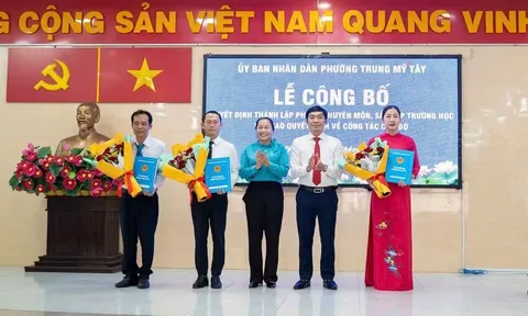 Phường Trung Mỹ Tây tổ chức sắp xếp phòng chuyên môn và trường học