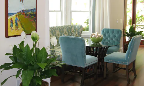 Nên đặt cây Lan Ý ở vị trí nào trong nhà?