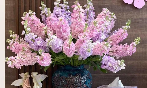 Chọn hoa và cây cảnh cho không gian sống tràn đầy may mắn