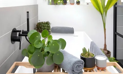 Tận dụng cây xanh để làm mới không gian sống