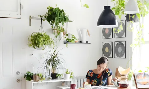 Chọn cây cảnh phù hợp để gian bếp luôn tươi mát