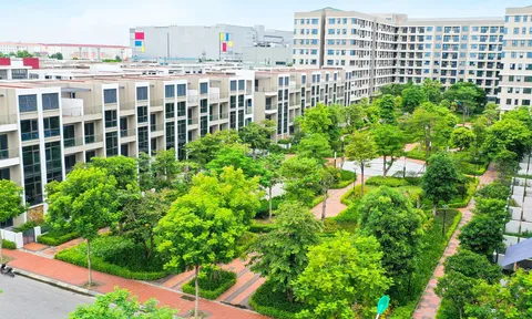 Bắc Ninh mở bán 162 căn nhà ở xã hội tại Yên Phong, nhận hồ sơ từ 15/5