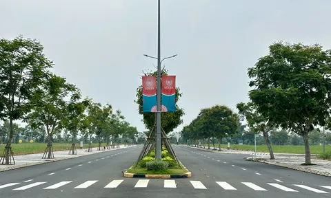 Nguồn cung tăng mạnh, bất động sản quý I/2026 chững lại sức cầu vì lãi suất cao