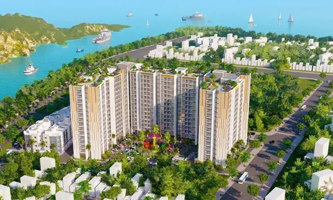 Quảng Ninh mở bán nhà ở xã hội từ 21,6-23,6 triệu đồng/m2, tiếp nhận hồ sơ loạt dự án mới