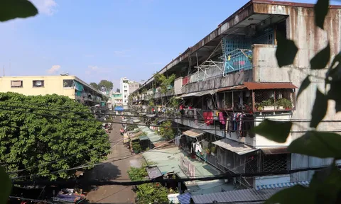 TP.HCM chốt tiến độ xử lý 16 chung cư cấp D, thúc đẩy cải tạo hàng loạt dự án cũ