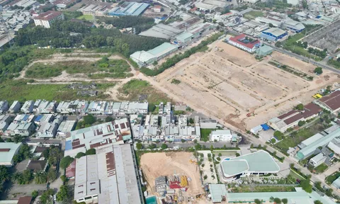 TP.HCM tăng tốc rà soát phân lô bán nền tự phát tại Bình Dương cũ