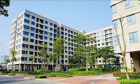 Đồng Tháp tìm nhà đầu tư dự án nhà ở xã hội Mỹ Hiệp quy mô 164 căn hộ