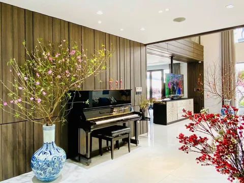 Những cây cảnh phong thủy giúp ngôi nhà rực rỡ và đón tài lộc dịp Tết