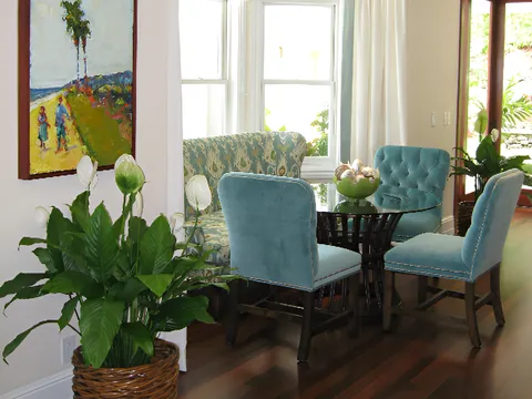 Nên đặt cây Lan Ý ở vị trí nào trong nhà?