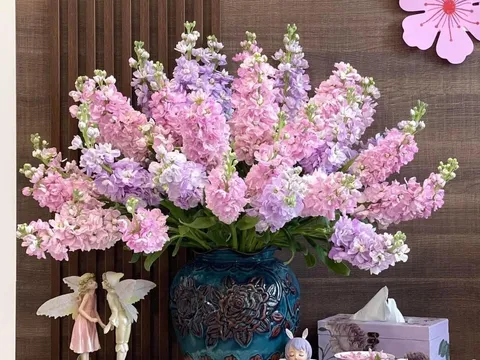 Chọn hoa và cây cảnh cho không gian sống tràn đầy may mắn