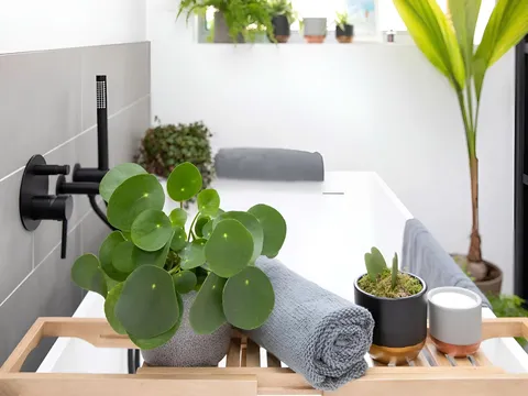 Tận dụng cây xanh để làm mới không gian sống